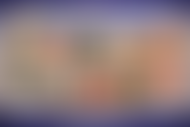 Bébés animaux photographiés dans le ventre de leur mère