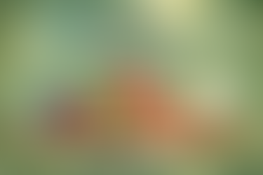 12 des aliments anti-âge