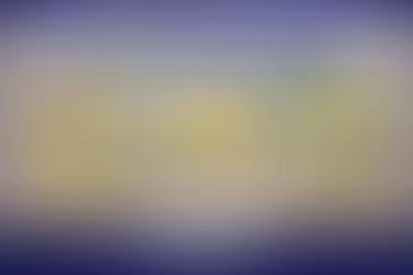  Espèces oiseaux débutants