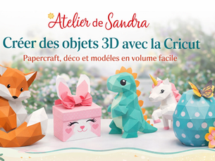 Objets 3D avec la Cricut
