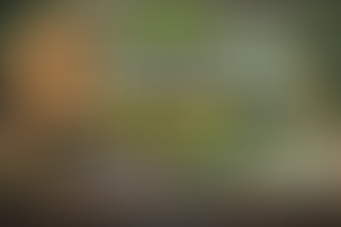 Idées de recyclage avec des bouchons