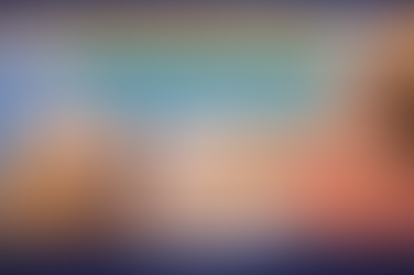 8 façons de renforcer le lien avec votre animal de compagnie