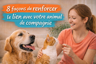 8 façons de renforcer le lien avec votre animal de compagnie