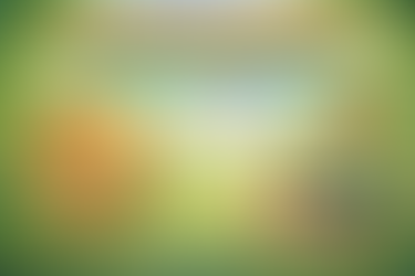 Cours de guitare pour enfant: Le lion (est mort ce soir) – 3 accords faciles