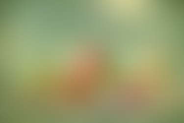 Le régime hypocalorique 