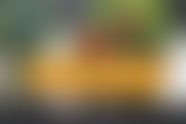 Des pots cassés devenus de magnifiques jardins de fée !