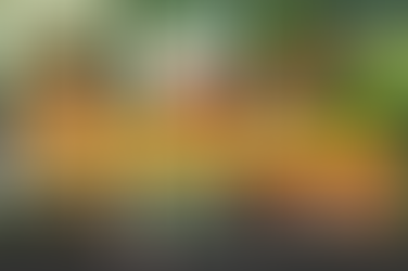 idées pour intégrer les pots en terre cuite dans votre jardin