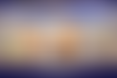 Conseils pour une hygiène parfaite des rongeurs