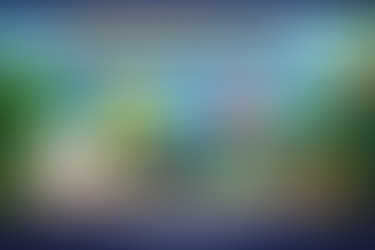 astuces pour un aquarium en bonne santé