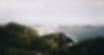 t-l-f5l7HsWMmnE-unsplash.jpg