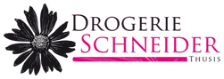 DS_logo.png