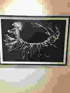 imaging of a spine