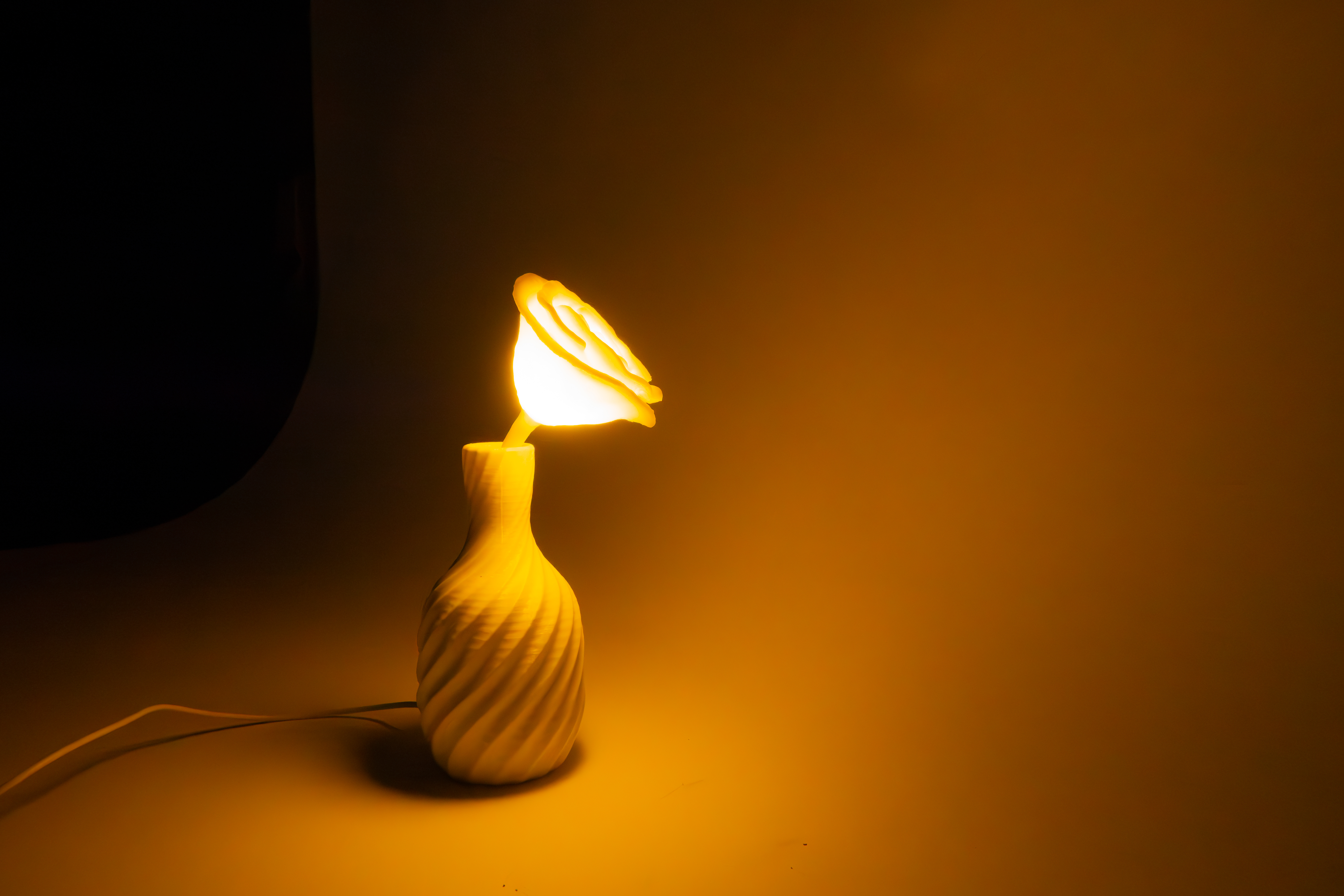 Oifio Lamp and Brand Design