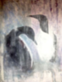 HelenCostello_NestingGuillemotsSpiral_Ac