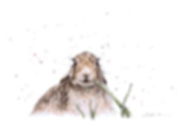 Eleanor Tomlinson fullsizeoutput_10c5.jp