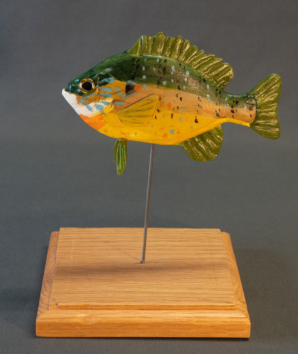 Jan Fuller - sunfish