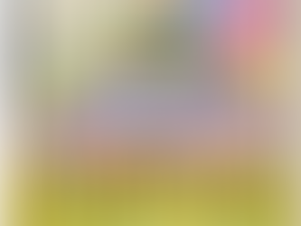 Book Review #22 : Tinted Tales by Akanksha Shukla