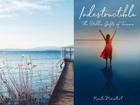 Book Review #29 : Indestructible by Krista Nerestant