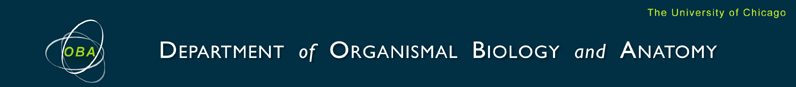 Logo_UChicago.gif