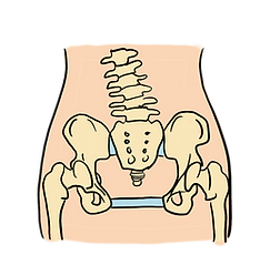 3F001B81-759A-4EA3-BC42-5905847E1582.png