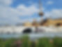 20230521_152403.jpg