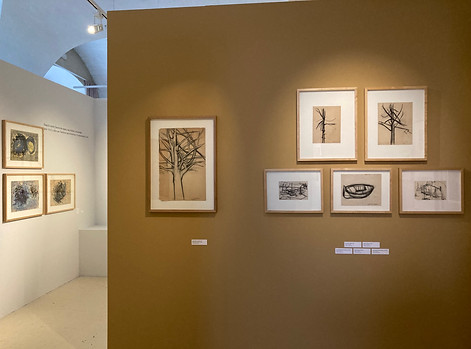 muséographie espace 3.jpeg
