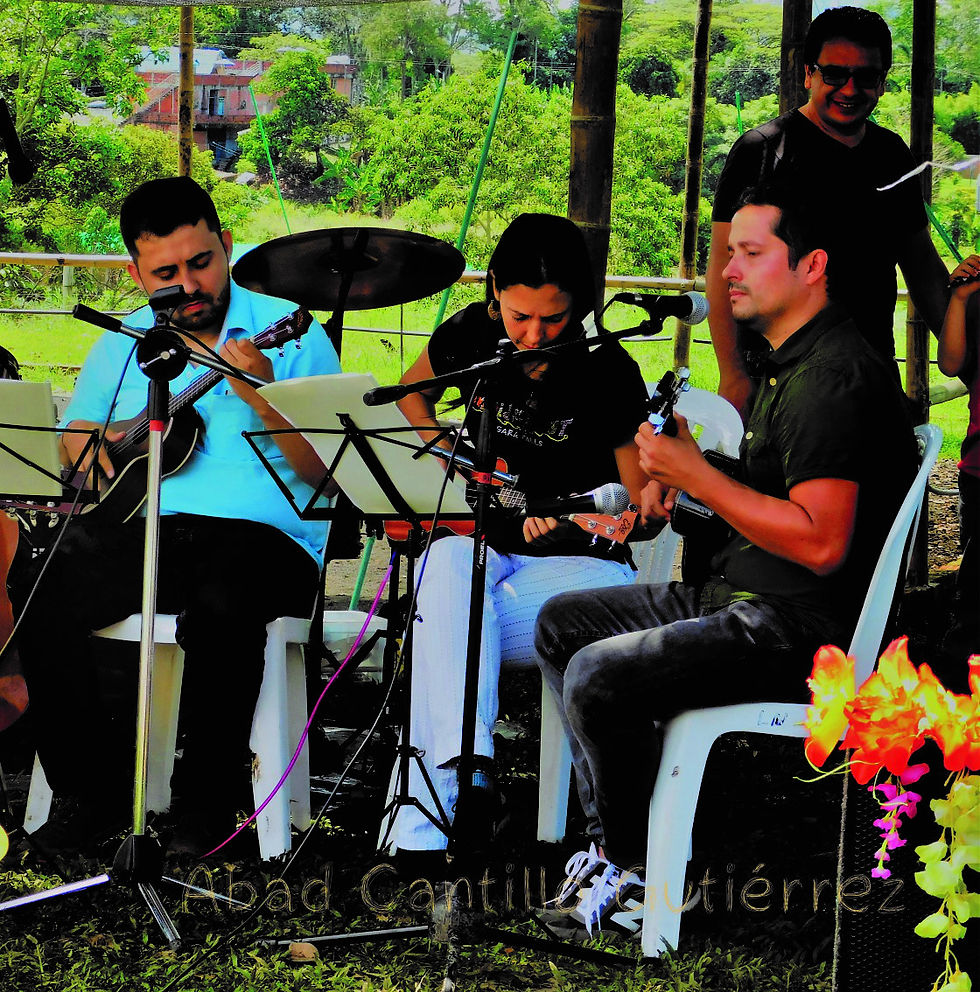 Ukelele Adultos
