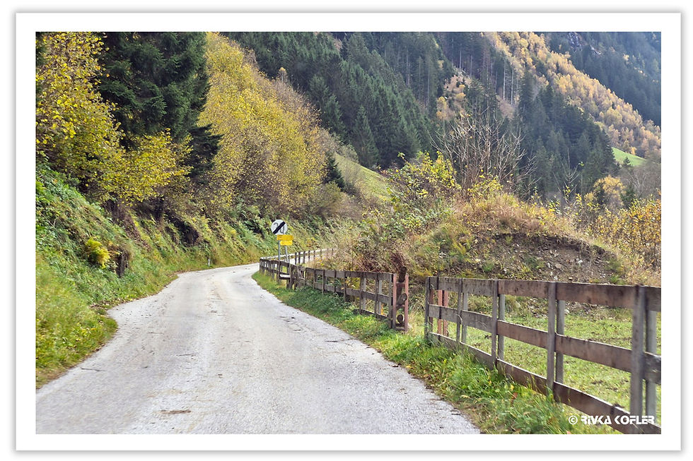 Narrow country road with wooden fence beside forested hill. Autumn foliage in gold and green. A sign visible; tranquil and natural setting.