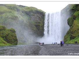 איסלנד - לנדוד עם הציפורים