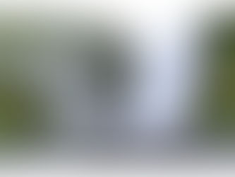 איסלנד - לנדוד עם הציפורים