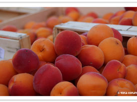 ליון - טעמים וריחות