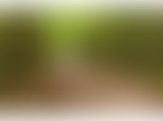 מטיילים, סיכום ביניים