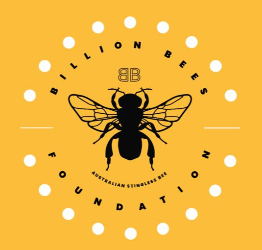 WhatsApp Image 2026-04-09 at 14.21_edited.jpg