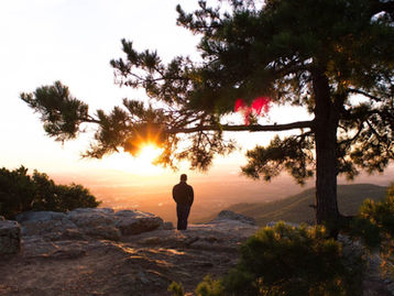 How Marketing Fits into the Bigger Picture of Brand Fame