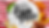 C14A5A3B-A0AC-4569-9594-9DFD451D41E3.PNG
