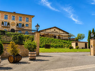 El Proyecto Náutico Gastronómico de Baleares visita las Bodegas Luis Cañas