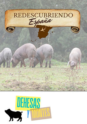 WhatsApp Image 2026-01-15 at 14.00.05.jpeg