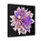 Thumbnail: The Dahlia Collection, Stretched Canvas