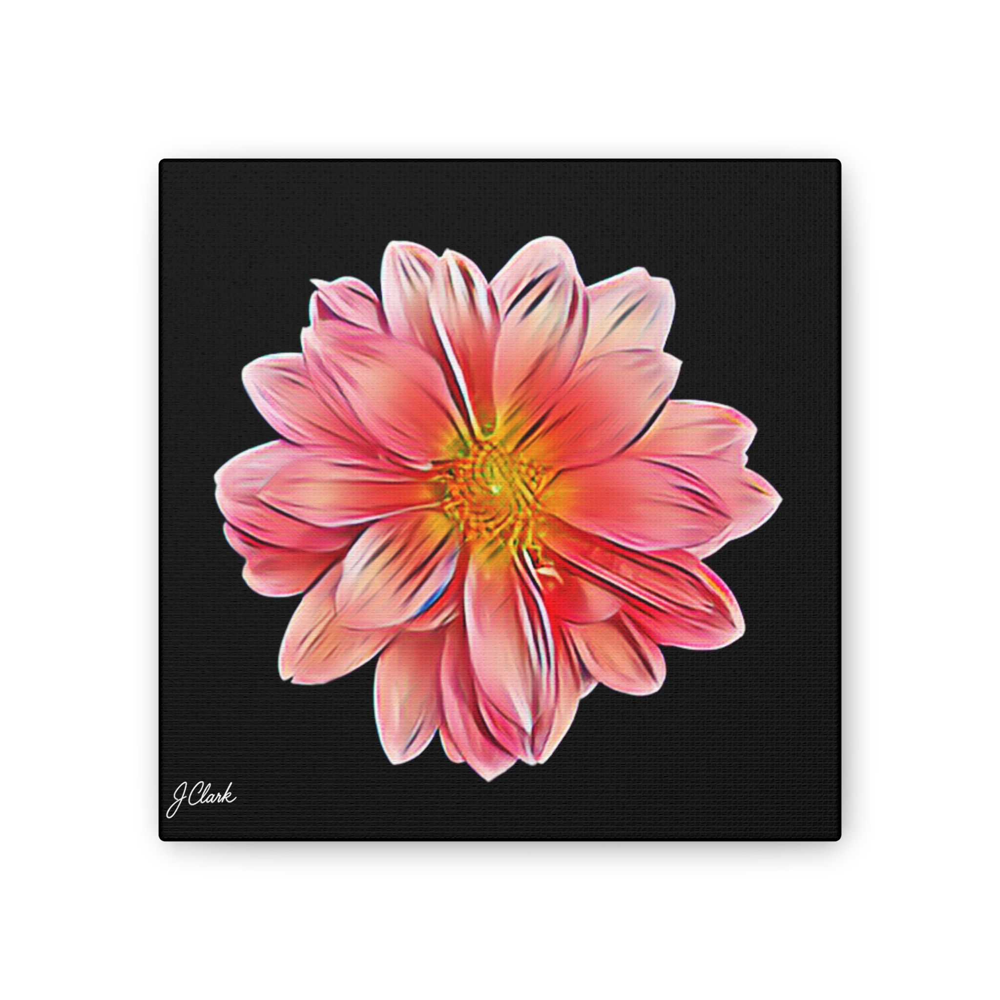 The Dahlia Collection, Stretched Canvas