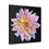 Thumbnail: The Dahlia Collection, Stretched Canvas