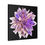 Thumbnail: The Dahlia Collection, Stretched Canvas