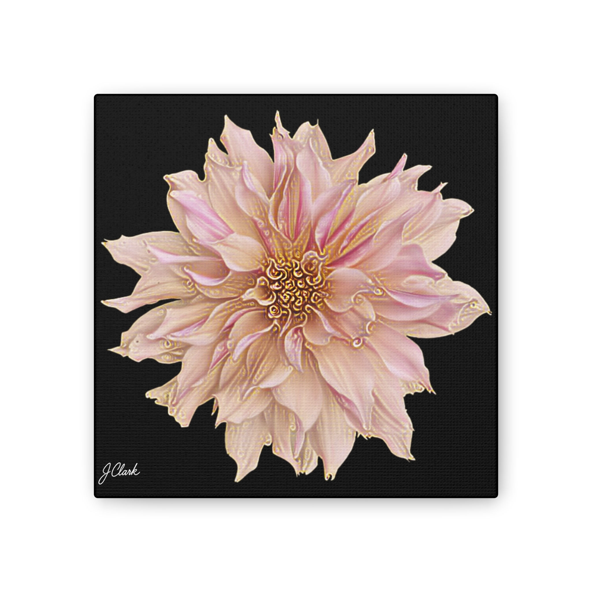 The Dahlia Collection, Stretched Canvas