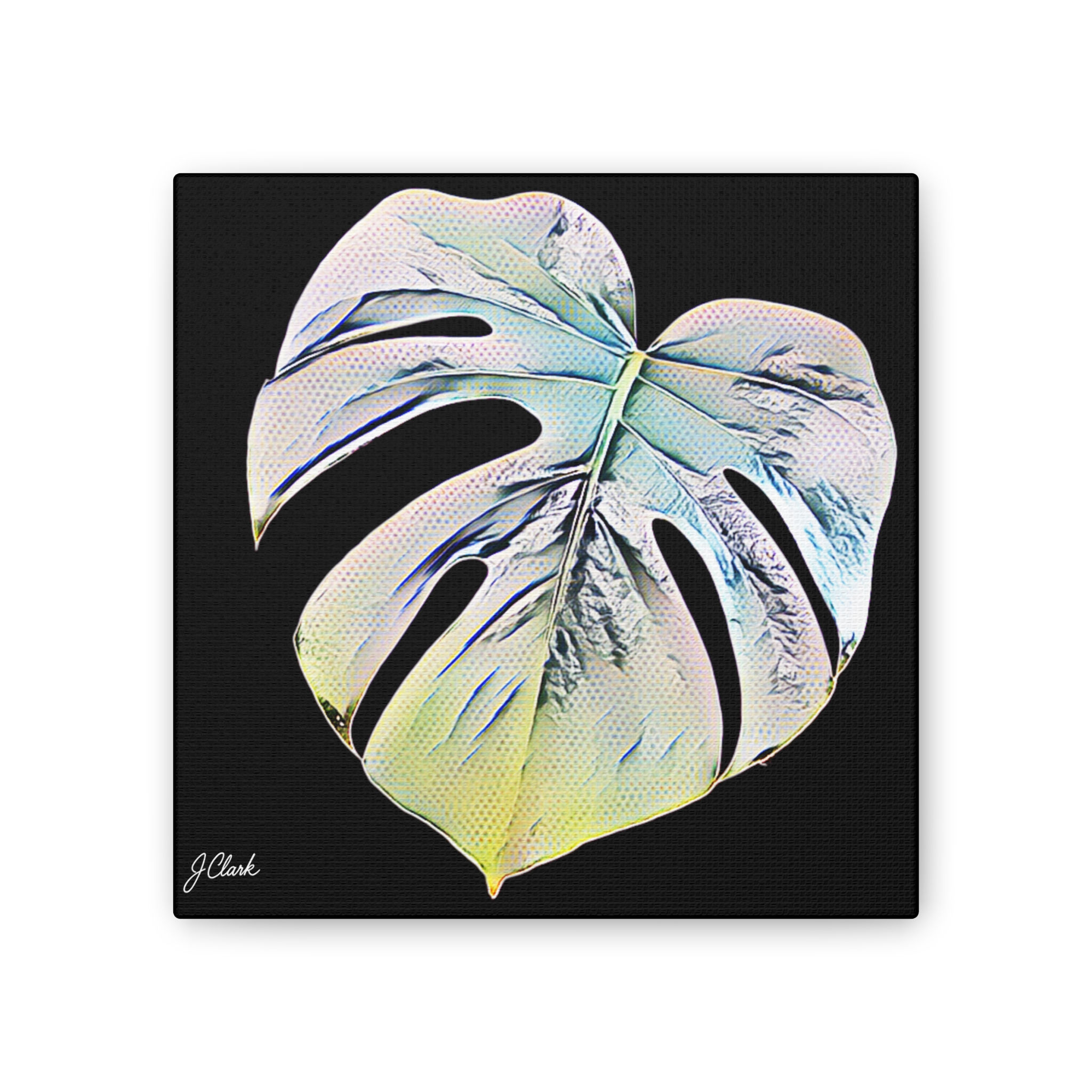 The Monstera Collection, Stretched canvas