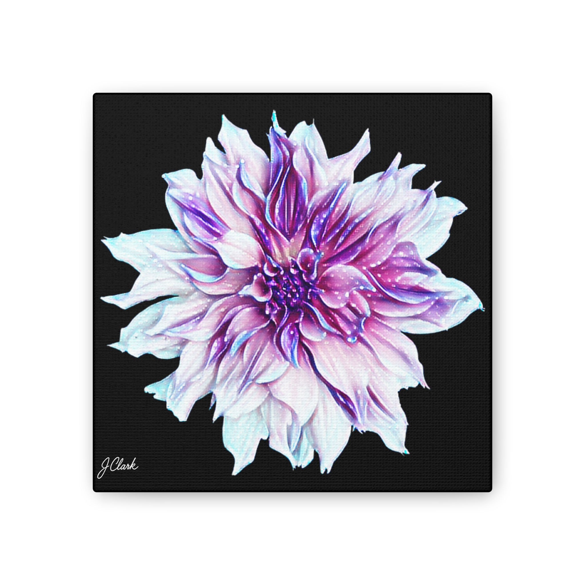 The Dahlia Collection, Stretched Canvas