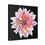 Thumbnail: The Dahlia Collection, Stretched Canvas