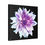 Thumbnail: The Dahlia Collection, Stretched Canvas
