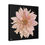 Thumbnail: The Dahlia Collection, Stretched Canvas