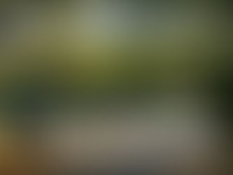 Why Attractiveness alone is not enough: The role of Performance in city competitiveness