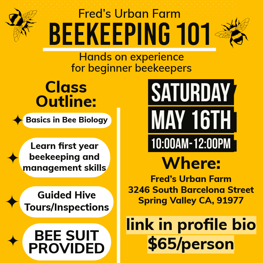 BEEKEEPING 101