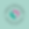 CCS Logo June 2025.png